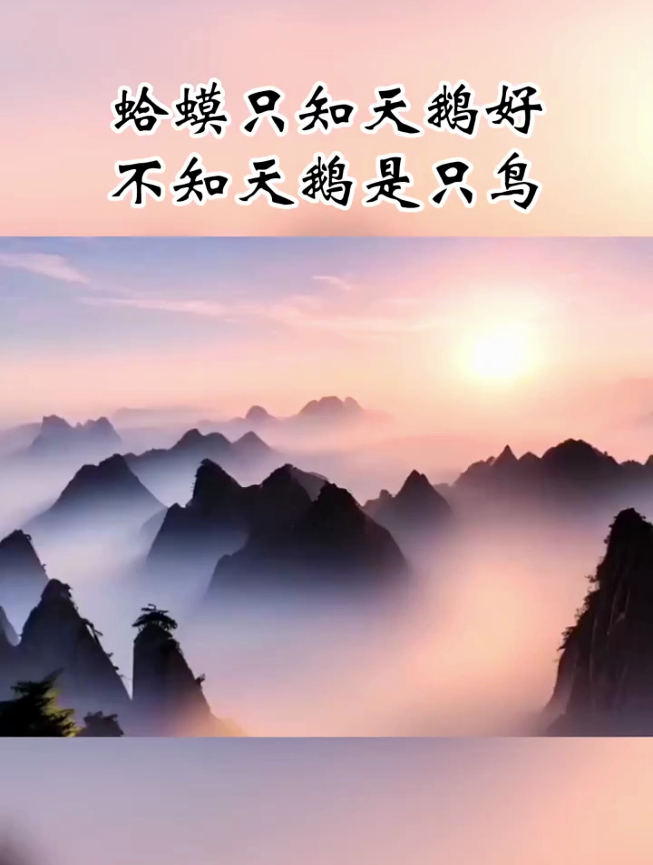 蛤蟆只知天鹅好,不知天鹅是只鸟“每日一首古诗词”