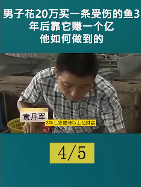 男子花20万买一条受伤的鱼,3年后靠它赚一个亿,他如何做到的4