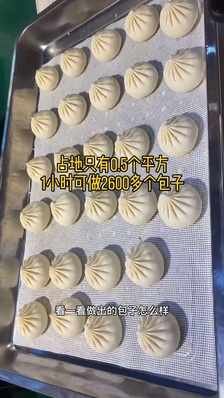 包包子机器视频短片,占地小速度快的小型包子机