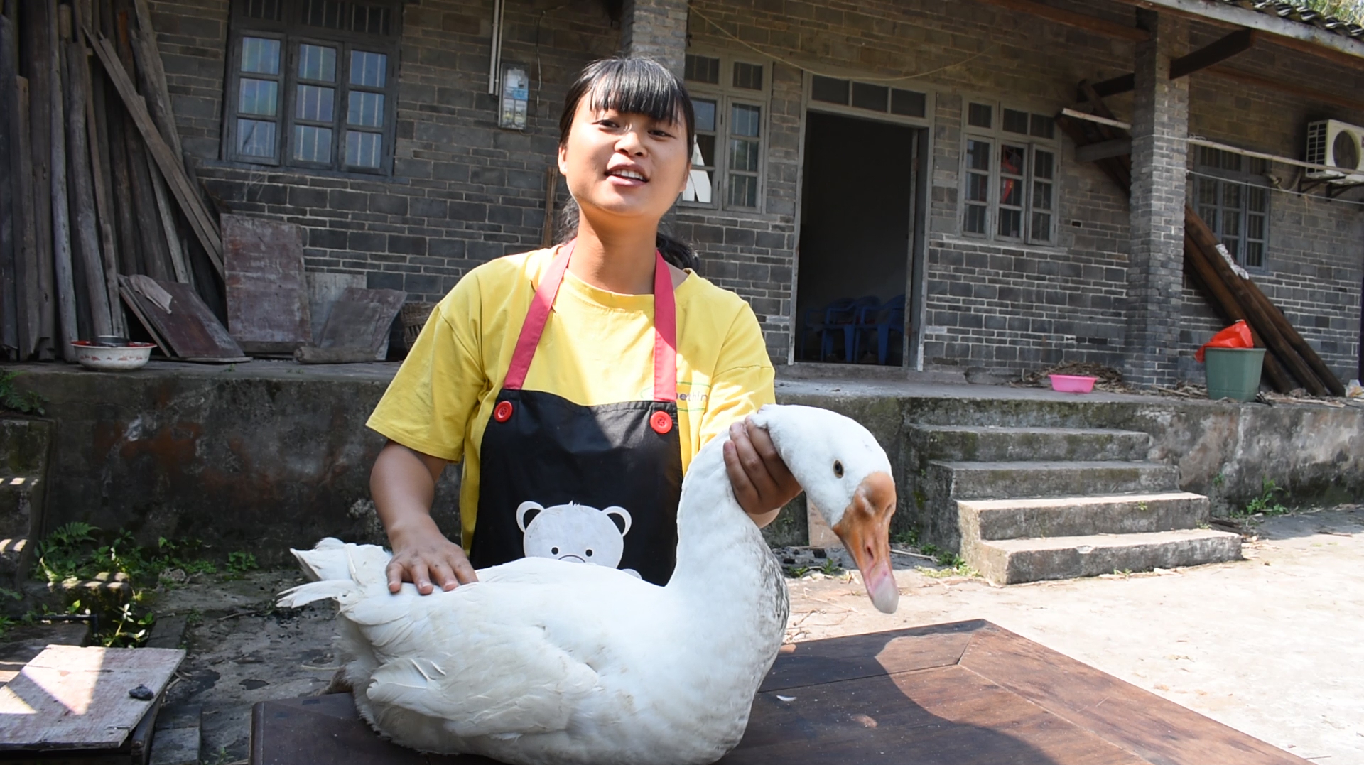 99买了只大鹅,做一份“红烧黄豆鹅”香辣细嫩,大口吃真过瘾