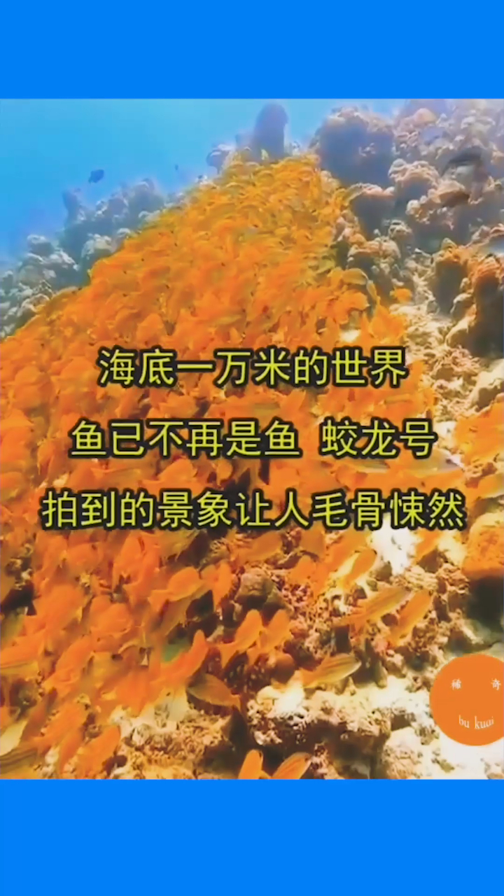 海底一万米的世界,鱼已不再是鱼