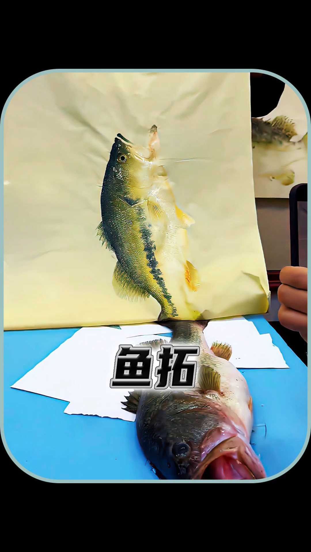 来自日本的鱼拓艺术可以留存鱼类的大小形象