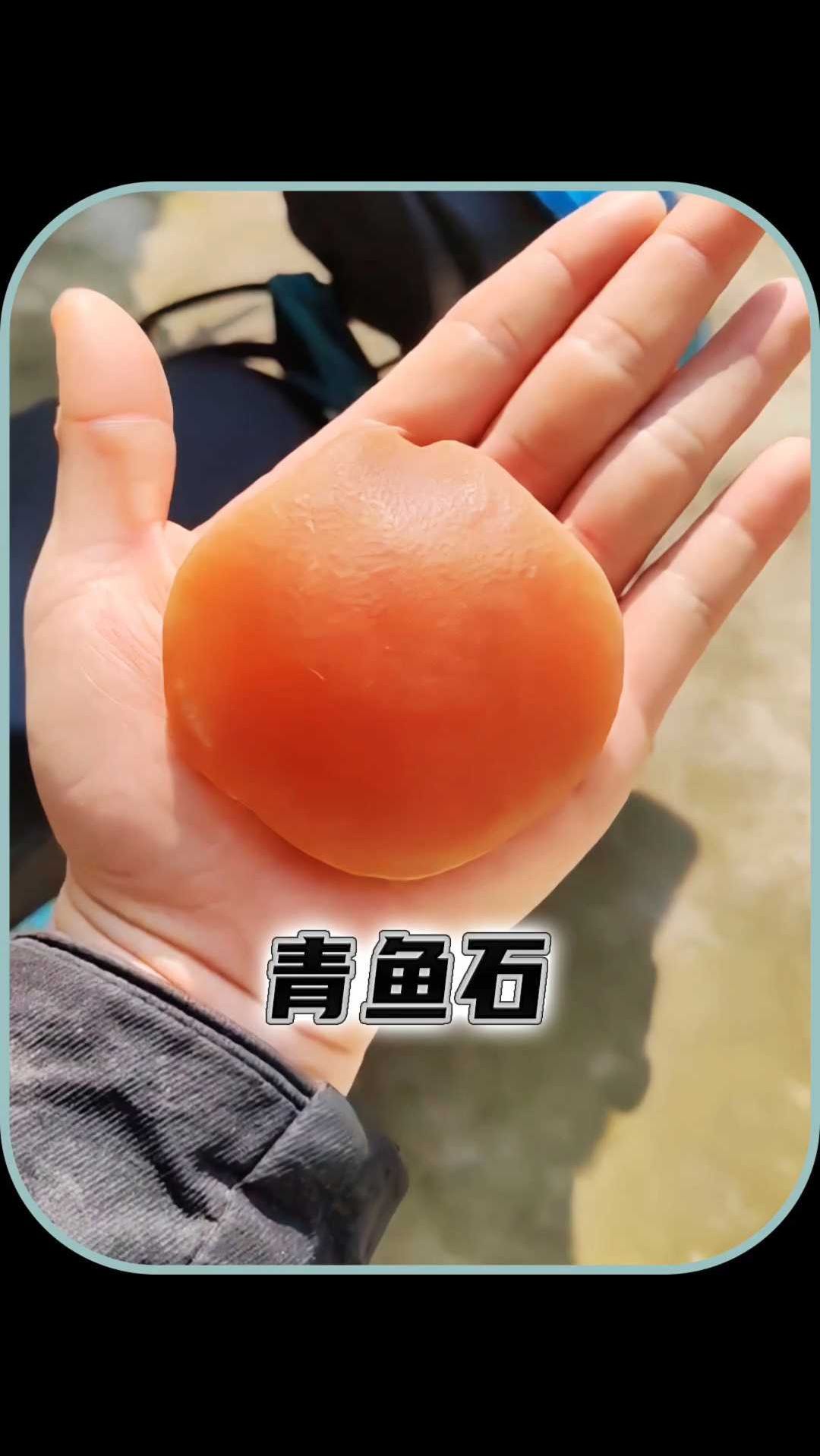 青鱼喉咙里有块晶莹剔透的石头