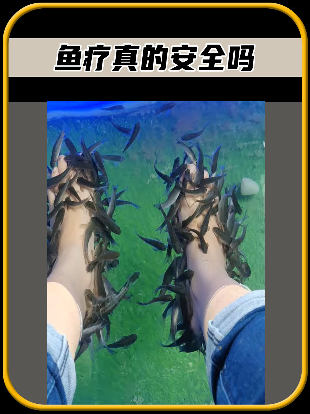 你敢相信吗,鱼疗居然有,那么大的风险