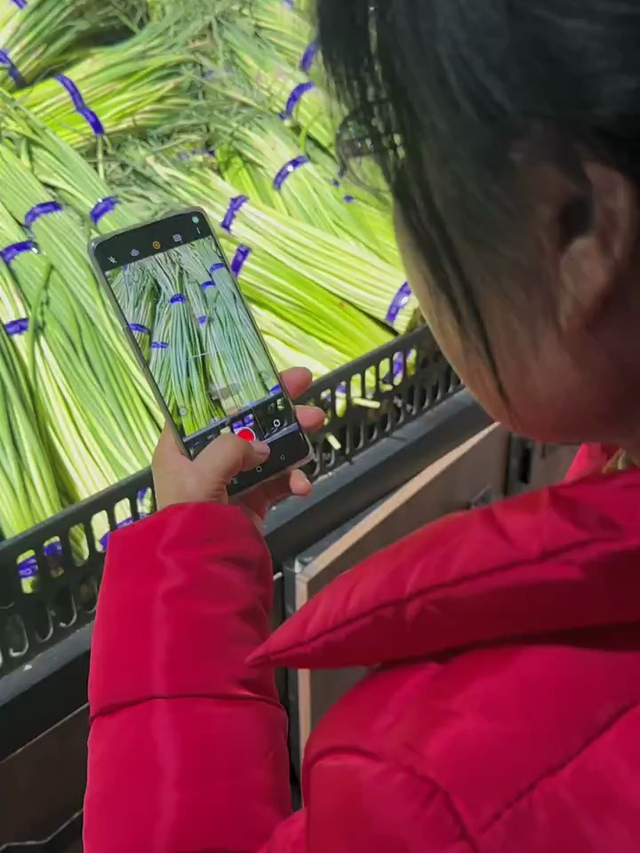 怎么拍蔬菜