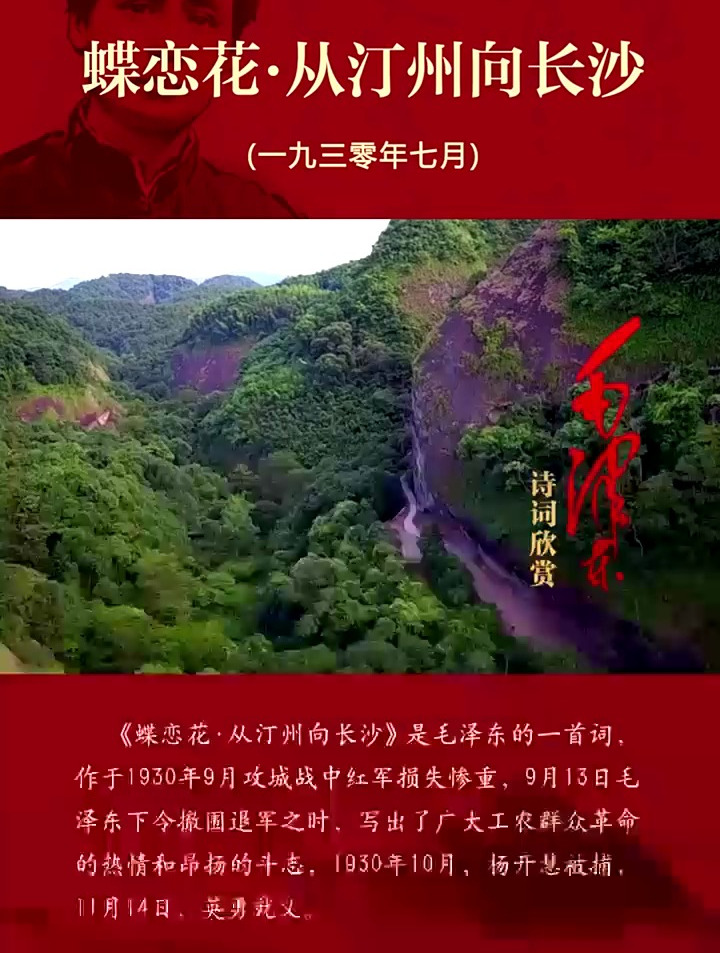 毛主席诗词《蝶恋花·从汀州向长沙》纪念毛泽东,回味他的诗词