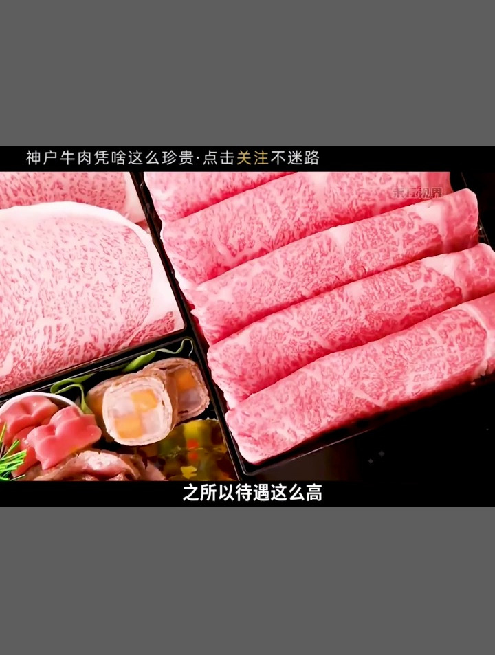 一头牛能换一辆车,渴了喝啤酒,累了人工按摩,神户牛肉好在哪里