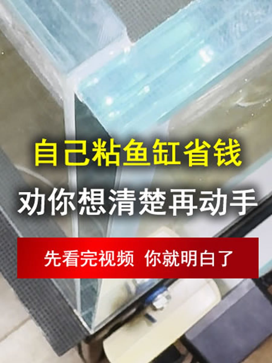 自己粘鱼缸确实省钱,但是劝你想清楚再动手