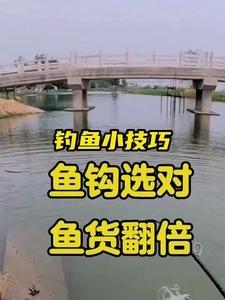 新手如何自己挑选鱼钩?这个视频可以让你参考!