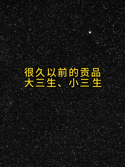 很久以前的贡品 大三生 小三生 殡仪服务 白事一条龙 丧