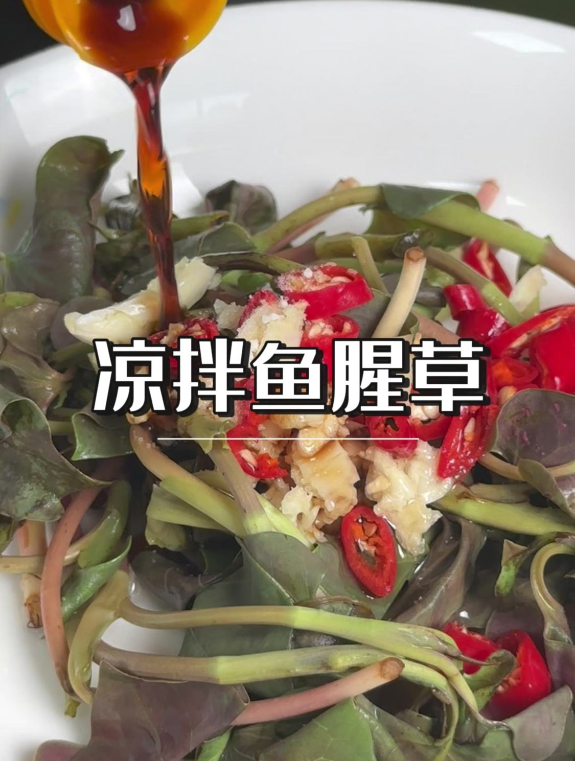 凉拌鱼腥草很多人都不喜欢吃,像我这样做试试!
