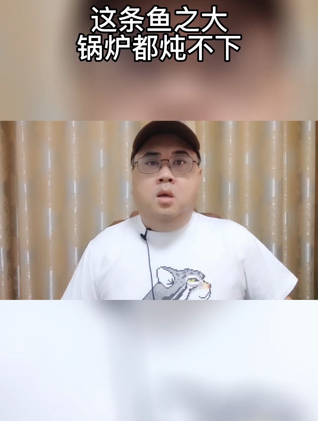 最大最温柔的鲨鱼,鲸鲨!