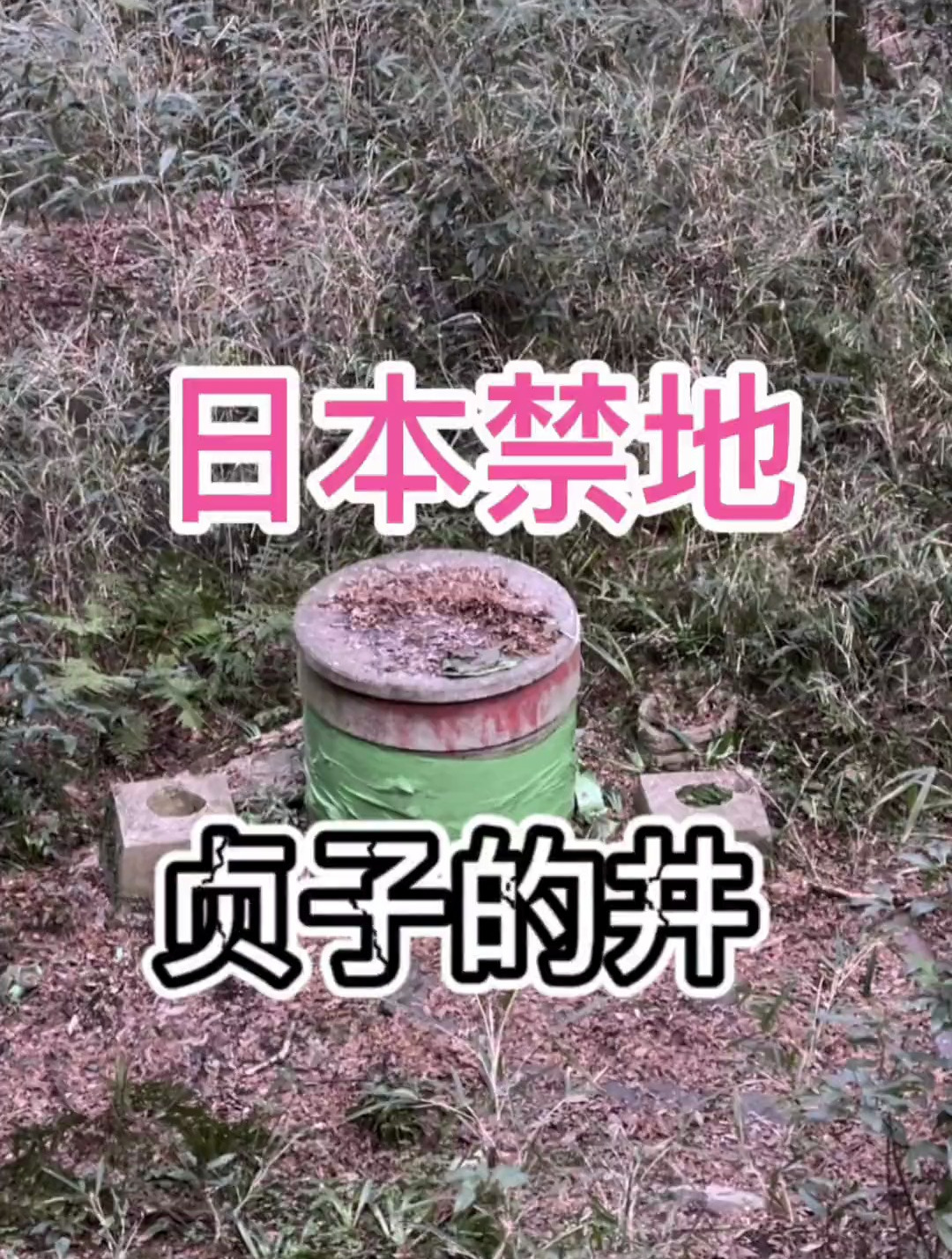 寻找日本贞子的井,回程的隧道里～探险 都市传说 旅行大玩家