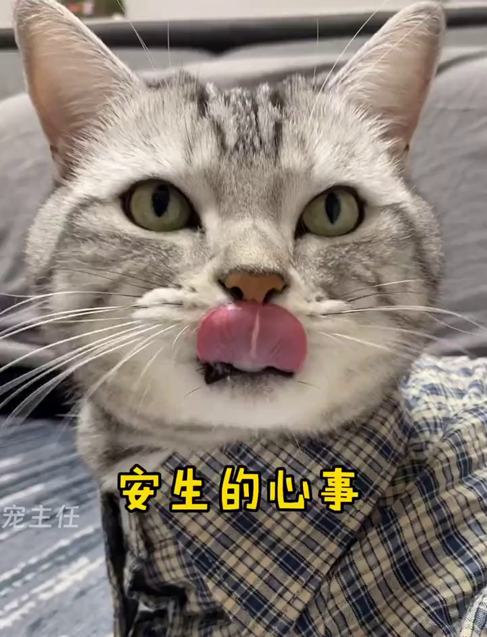 安生心里头有事儿,原来是惦记小泡芙呢哈哈,今儿个我就成全你,让你见见芙芙一面