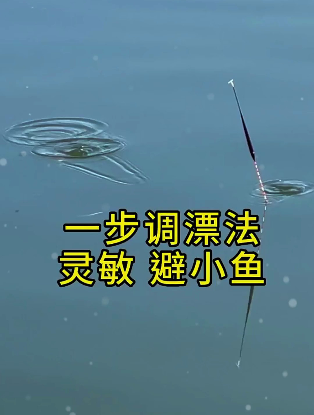 调漂教程:一步调漂法,有效避小鱼,不失灵敏度