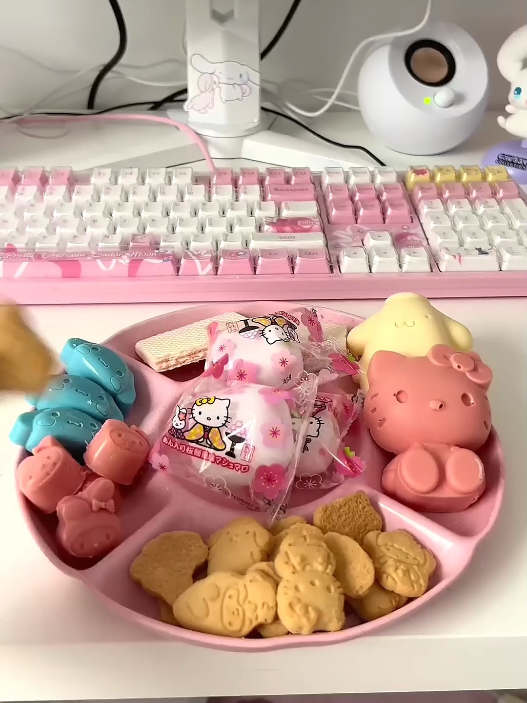 ASMR:三丽鸥家族小饼干摆盘