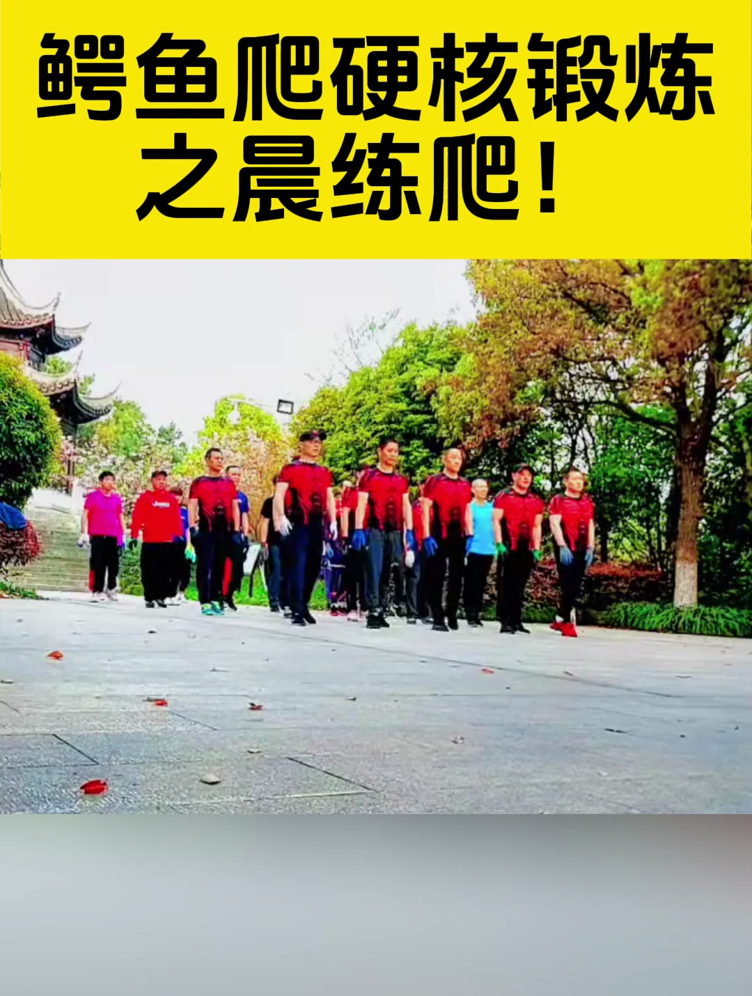 鳄鱼爬硬核锻炼之晨练爬!
