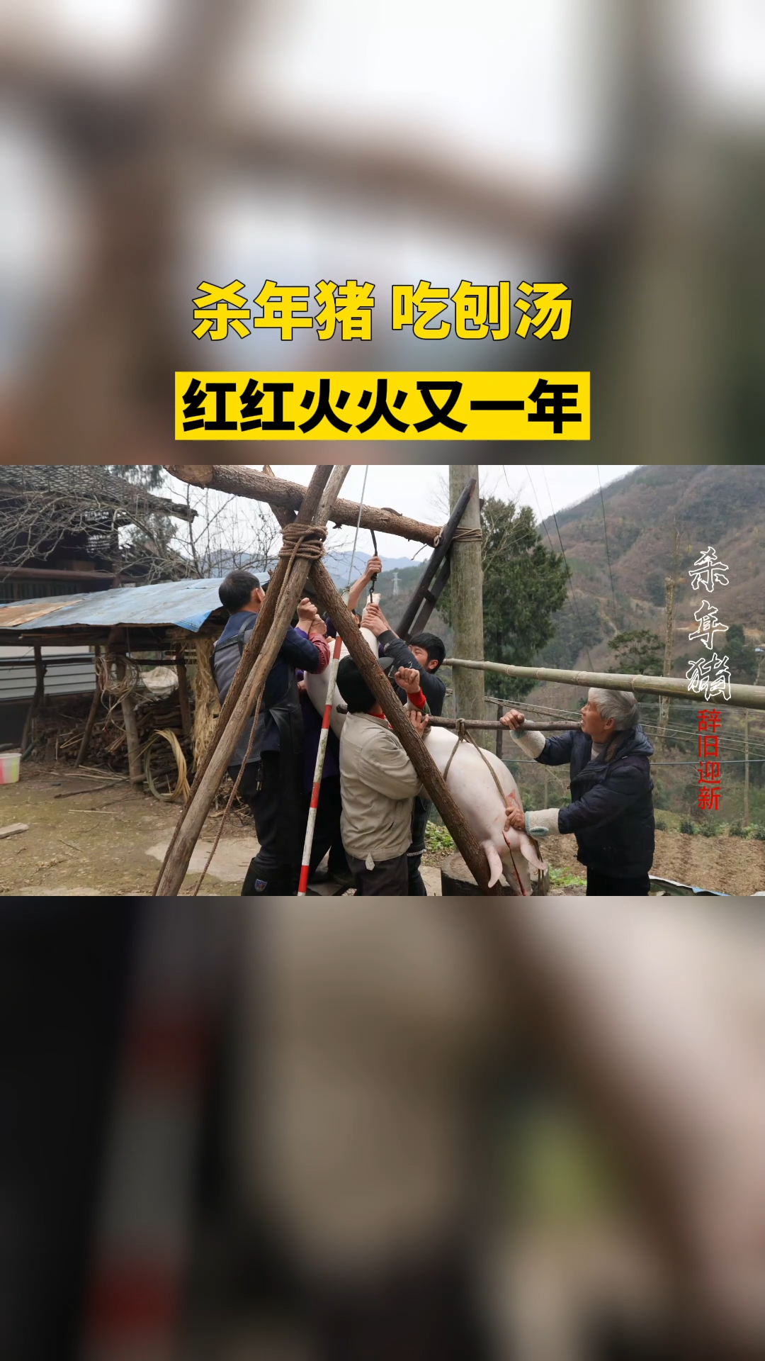 四川利州:杀年猪,吃刨汤,红红火火又一年。蜀都乐生活创作挑战