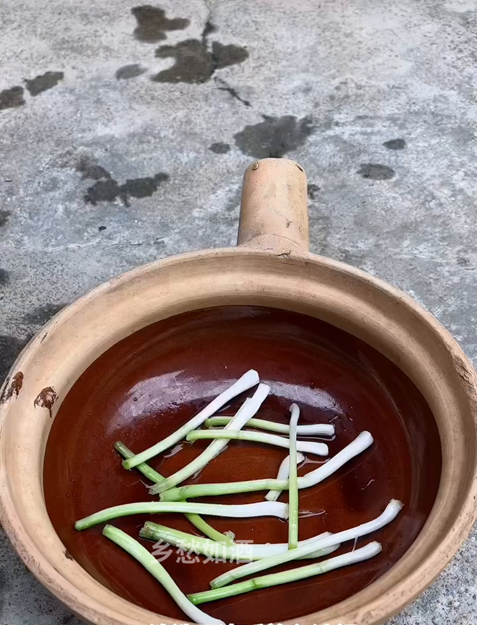 葱根儿那块儿的鳞茎,就是葱白,属于百合科葱属植物