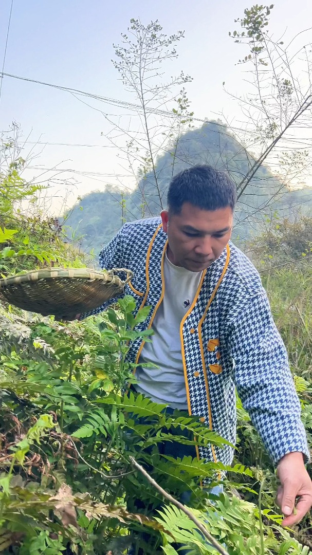 大家怎么吃春呢?在乡村,河边的蕨菜是少不了的!