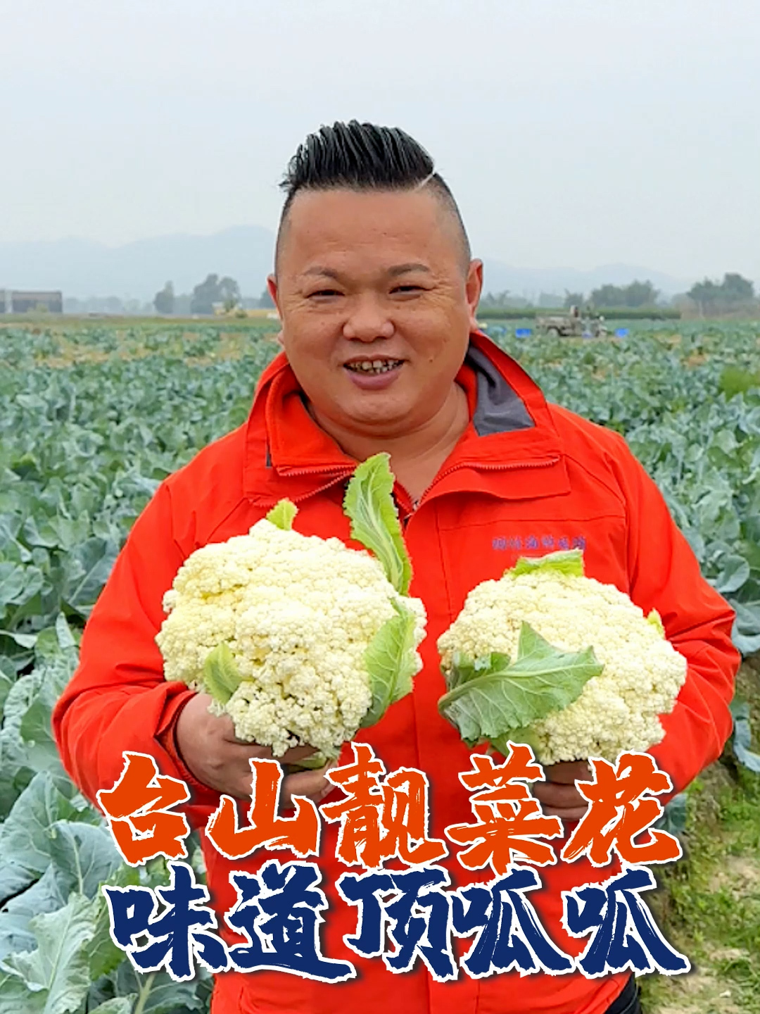 聪哥带你去台山寻找好食材:台山菜花