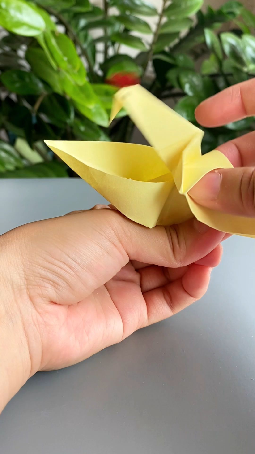 可爱的小鸡吃米折纸,你喂过小鸡,到鸡窝里摸过鸡蛋吗?