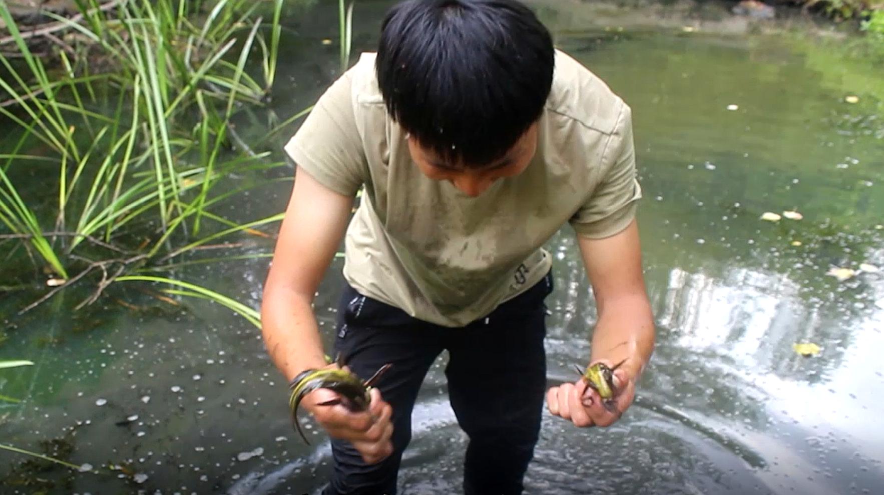 [图]荒废河湾快要干涸,两兄弟徒手翻起水草摸索,野货连出真是喜人啊