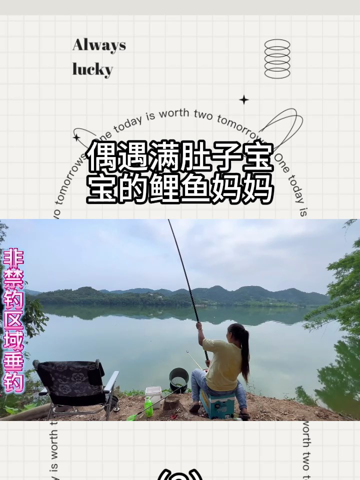 偶遇满肚子宝宝的鲤鱼妈妈。(2)