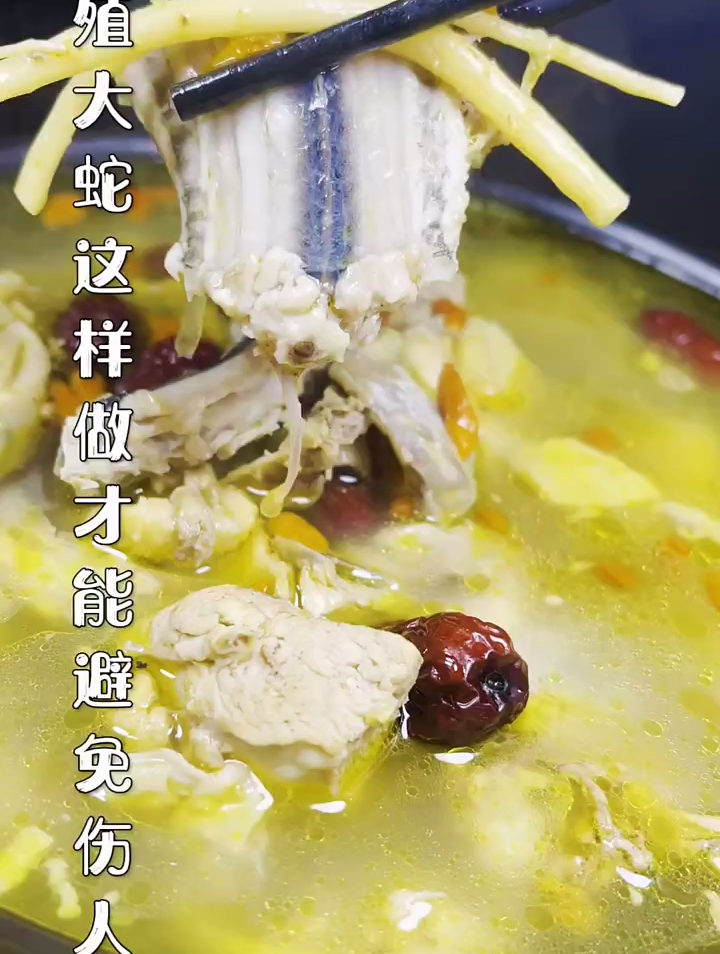 养殖蛇这样做,才能避免伤人