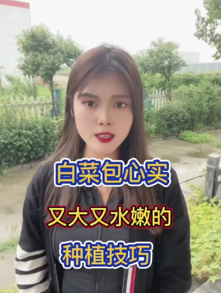 白菜黄金管理技巧!