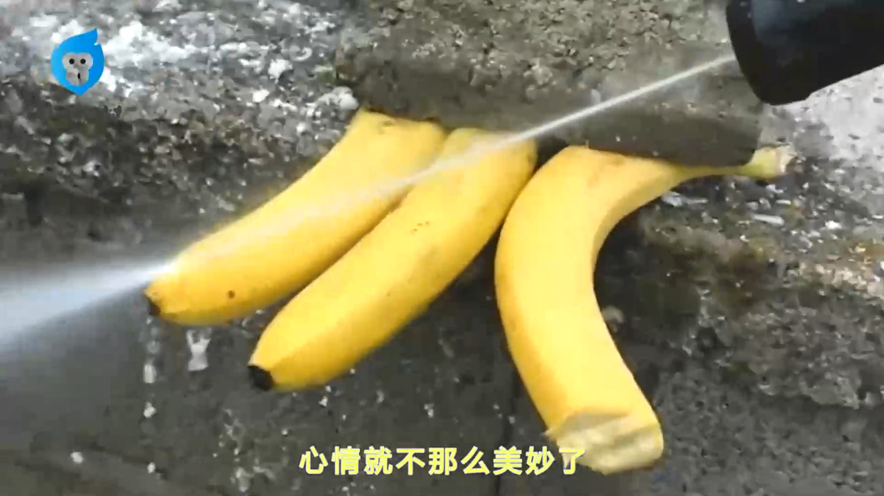 外国小伙用水果制作小动物,步骤简单还逼真,每个都很卡哇伊!