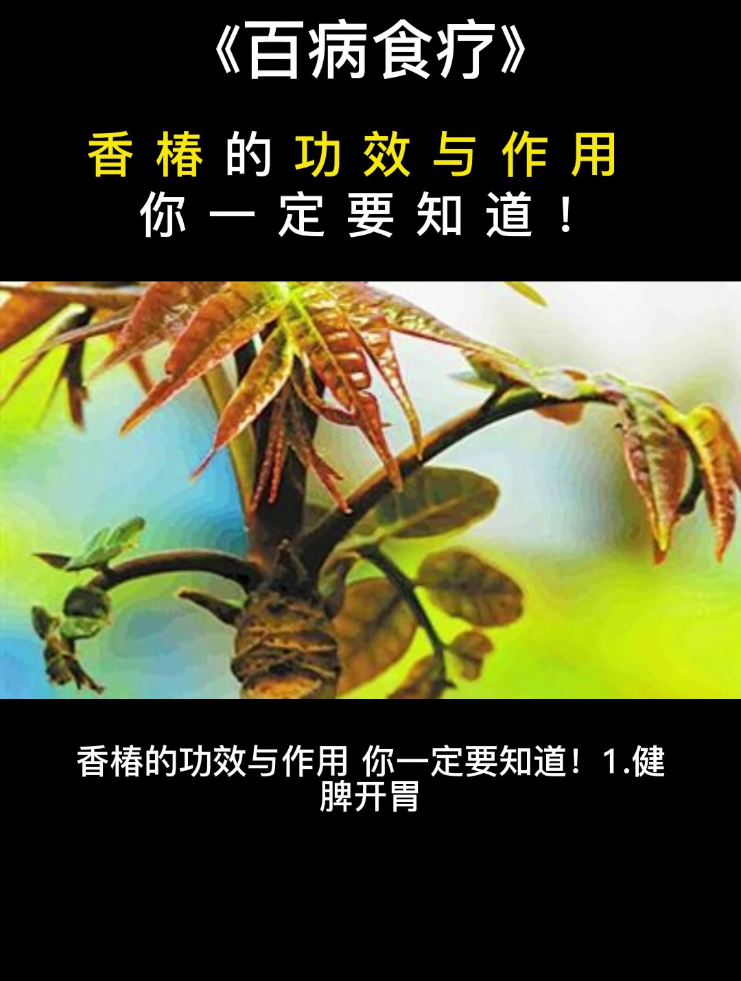 食疗:香椿的功效与作用,你一定要知道!