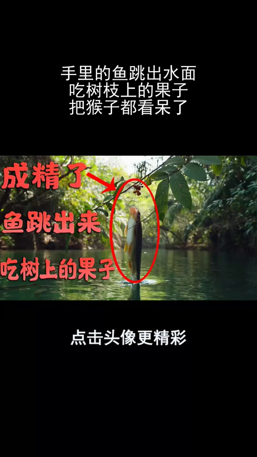 手里的鱼跳出水面,吃树枝上的果子,把猴子都看呆了