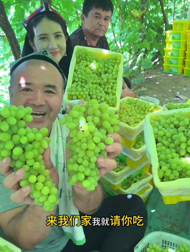 中国葡萄看新疆 新疆葡萄看吐鲁番