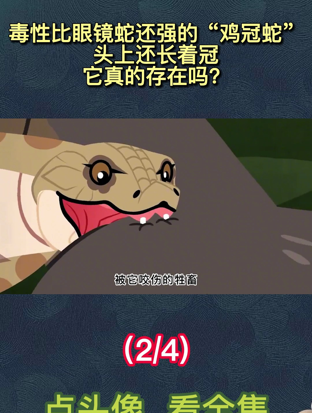 毒性比眼镜蛇还强的“鸡冠蛇”,头上还长着冠,它真的存在吗?