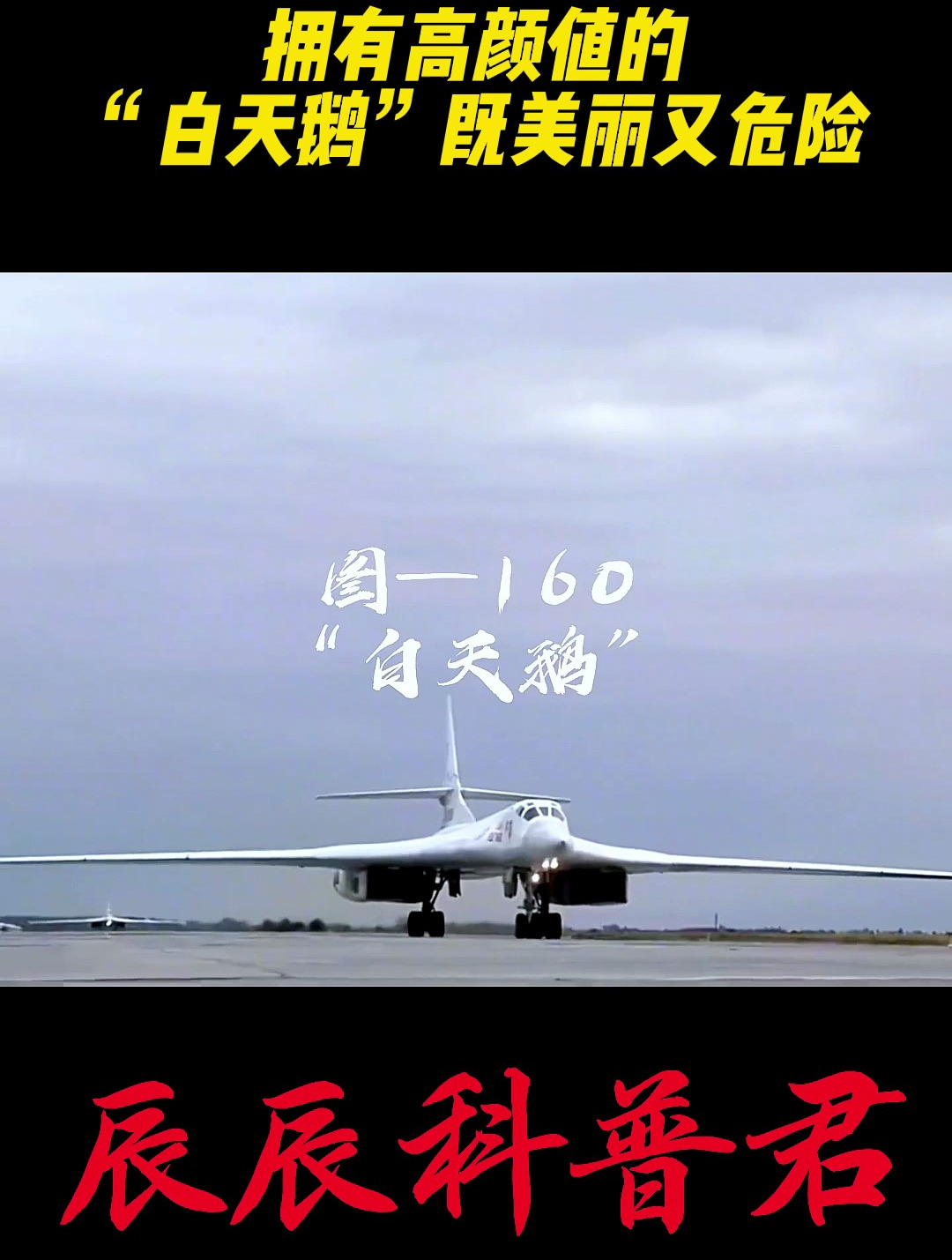 拥有高颜值的“白天鹅”既美丽又危险