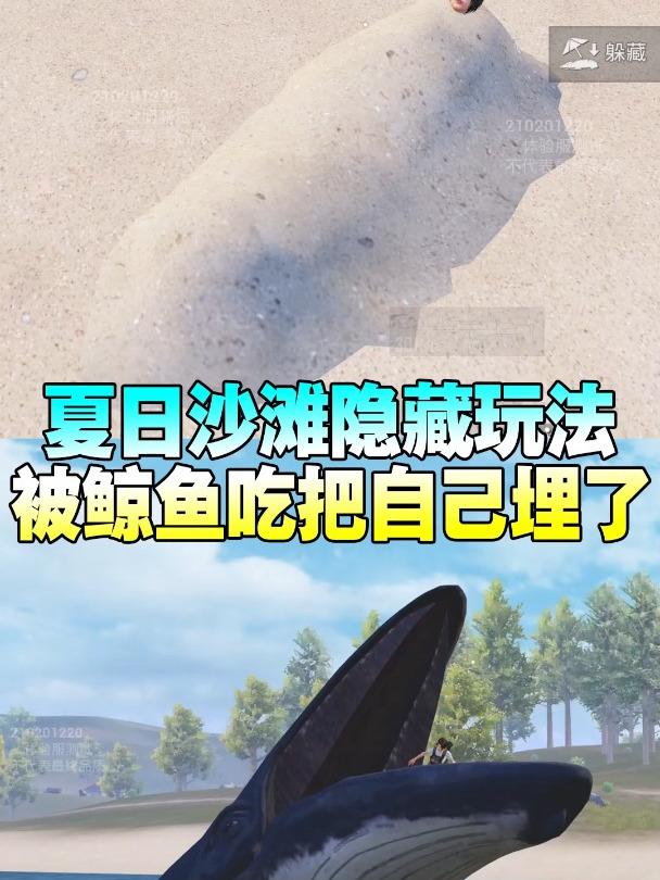 夏日模式鲸鱼的隐藏属性别错过