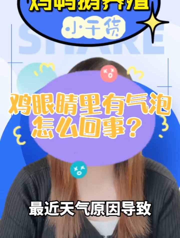 鸡肿头肿眼是怎么回事?鸡支原体用什么?鸡眼睛里有气泡怎么回事