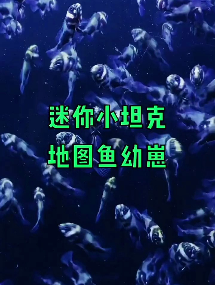 分享个可以食用的观赏鱼,请把你嘴角那激动的泪水擦擦。看看就行