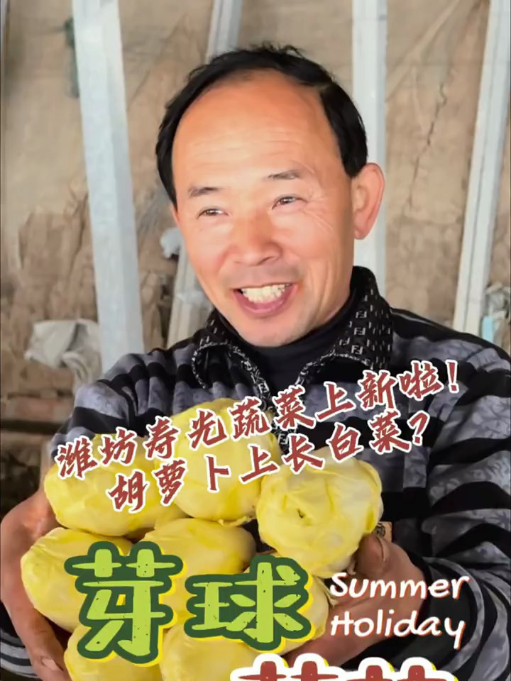 潍坊寿光蔬菜上新了,胡萝卜上长白菜?