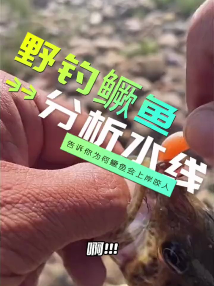 野钓鳜鱼,根据水线分析鱼情,您看看我说的对不对