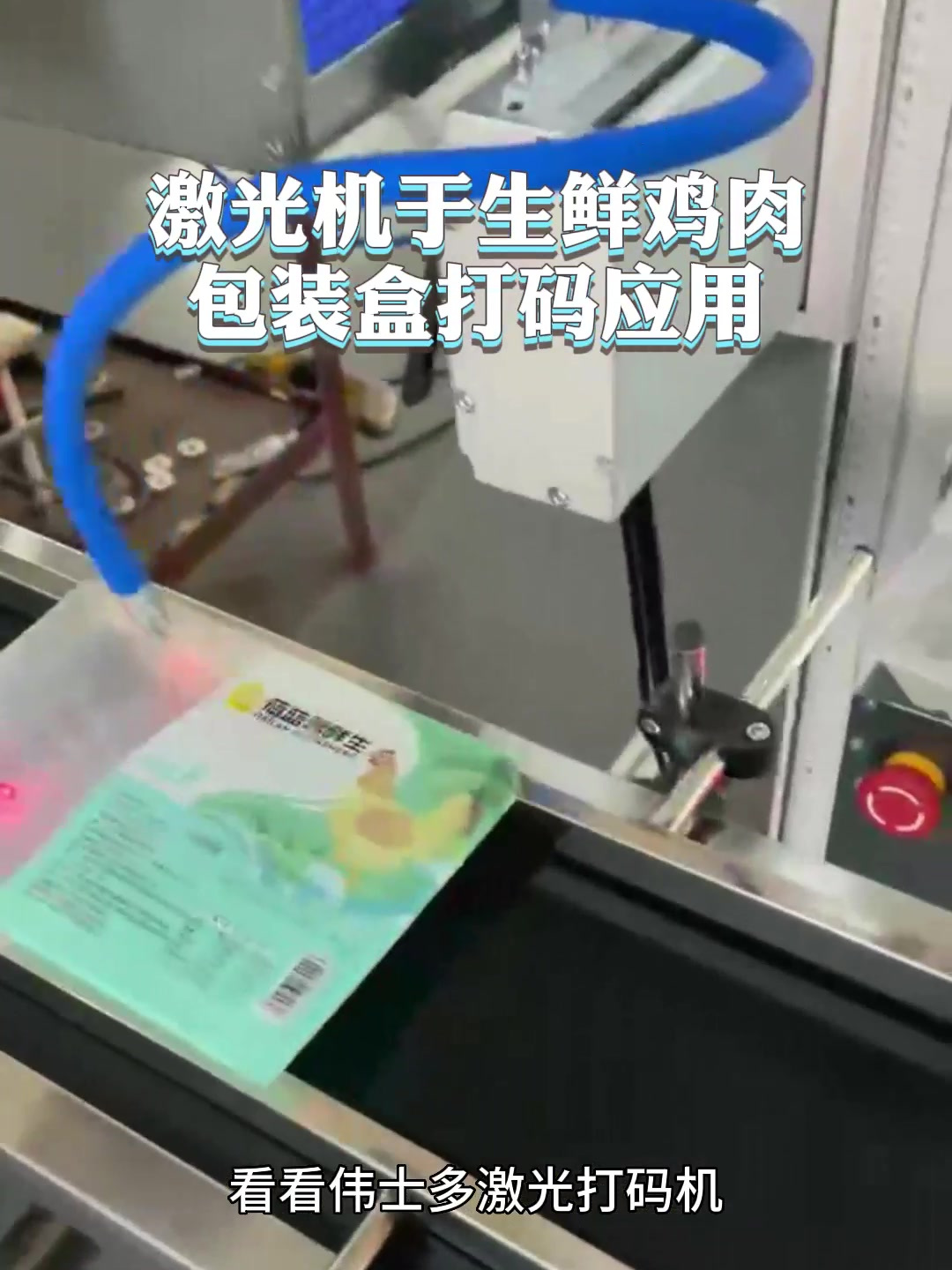 生鲜鸡肉是怎样激光打码的