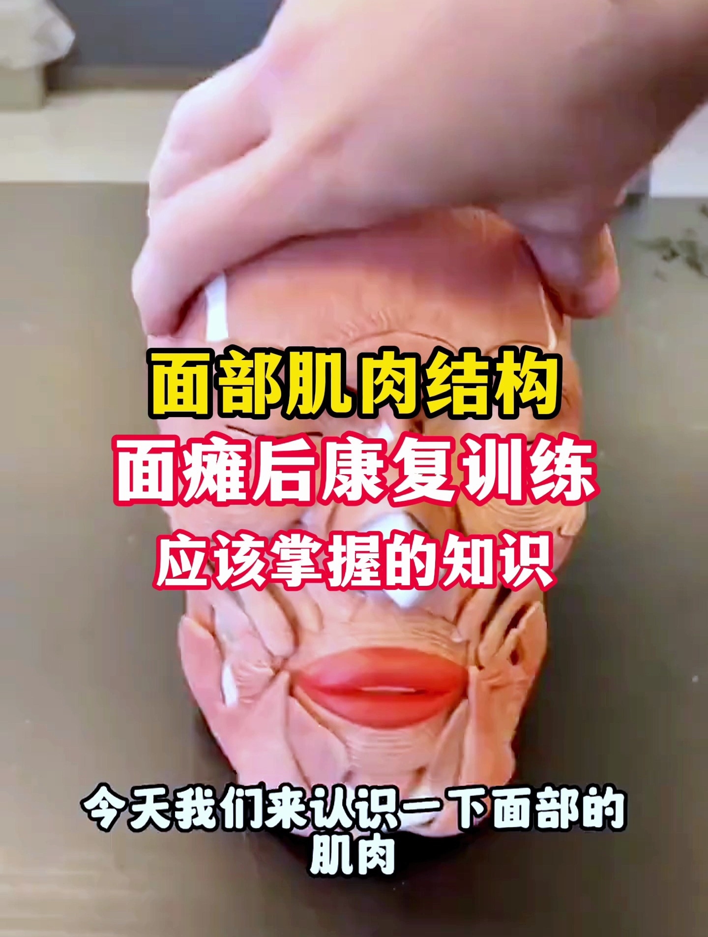 面部肌肉结构,面瘫后康复训练,应该掌握的知识!