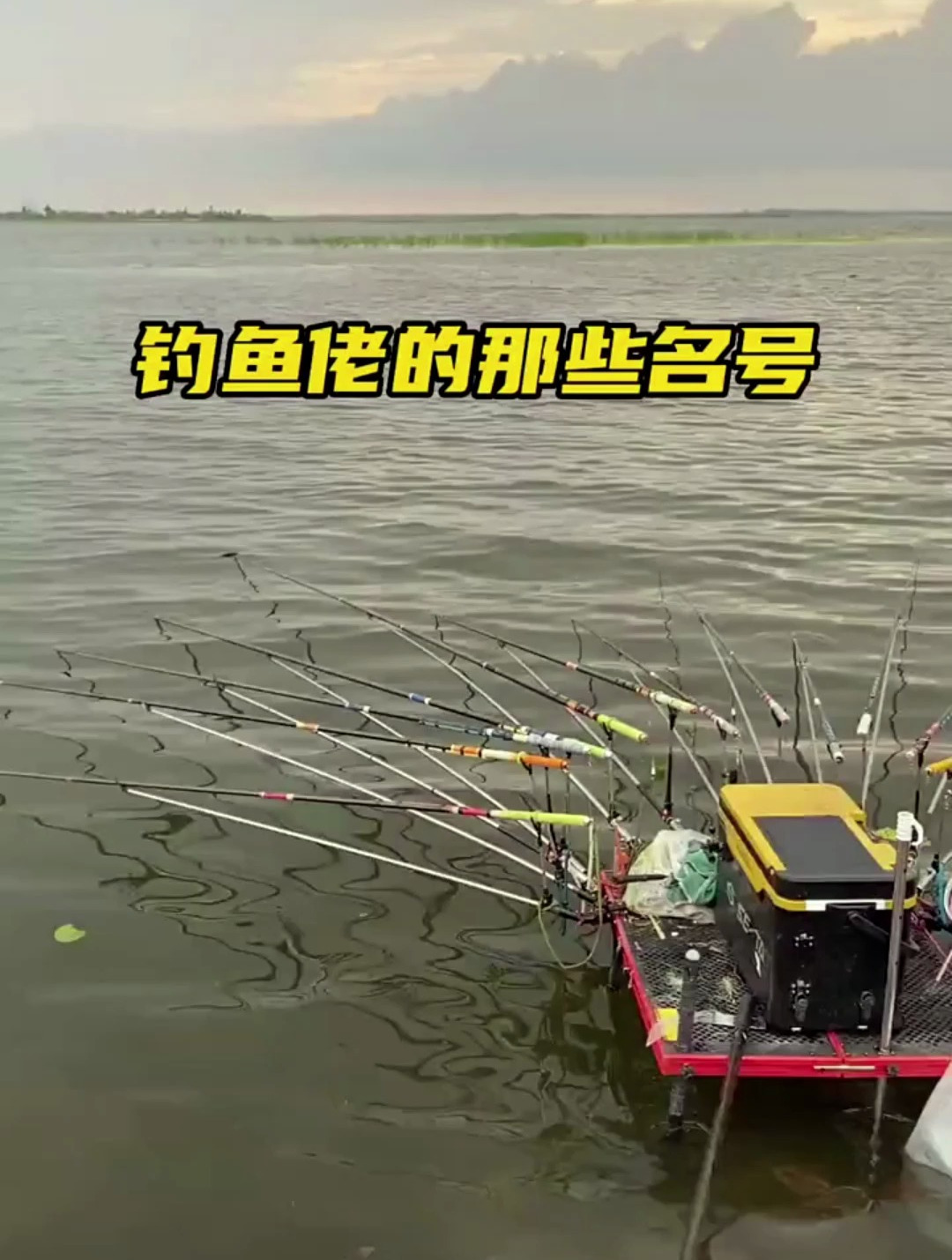 钓鱼佬的名号你知道吗?来的人留下名字!