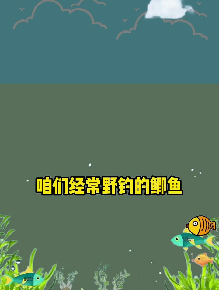 鲫鱼都吃哪些东西