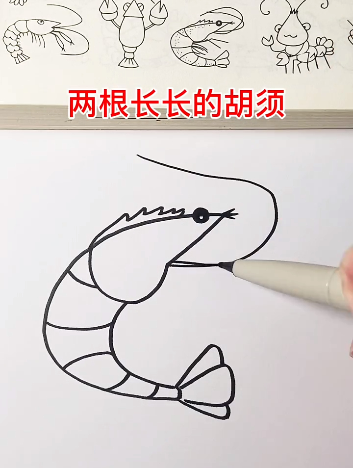 教你用字母C画一只小龙虾,学不废来打我,简笔画教程