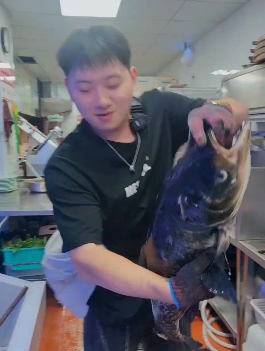 千岛湖有机鱼,大家有吃过吗?会知道是什么鱼种吗?