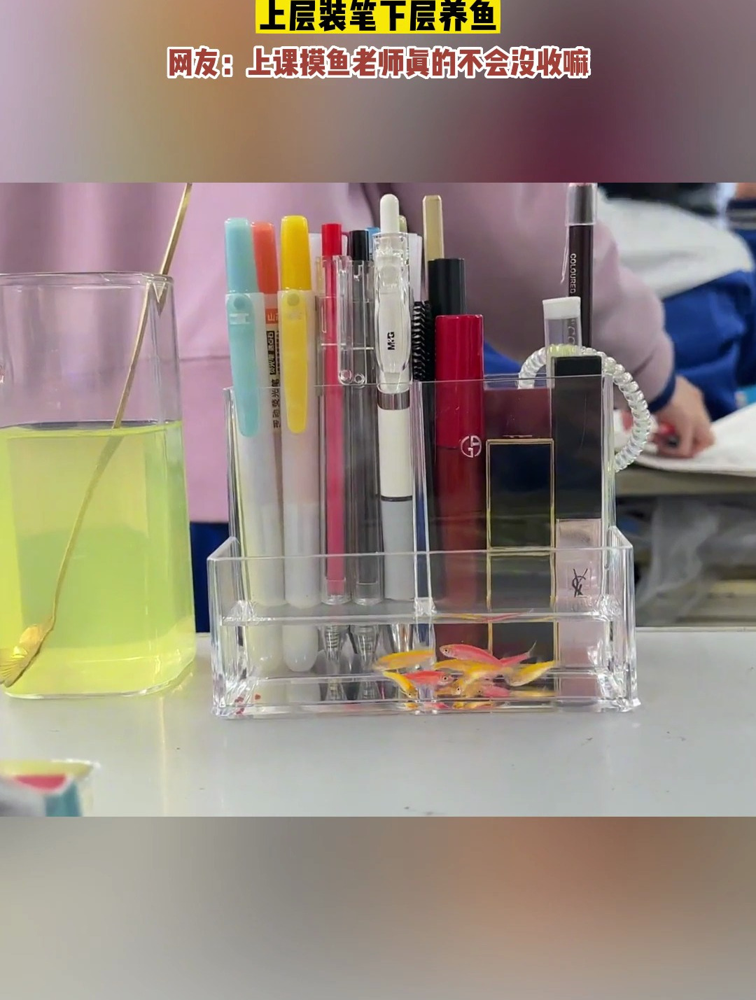 高中生的笔筒上层装笔下层养鱼。网友:这就是上课摸鱼吗?