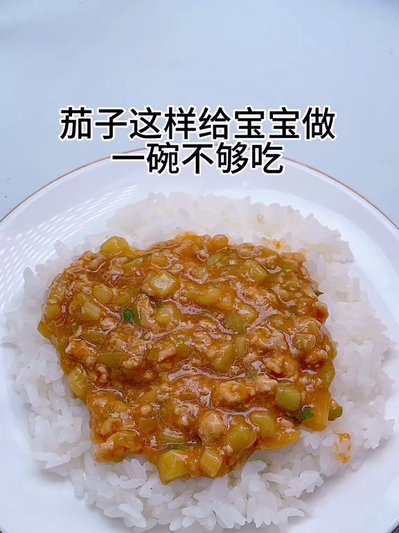 茄子猪肉盖浇饭,大人小孩都爱吃