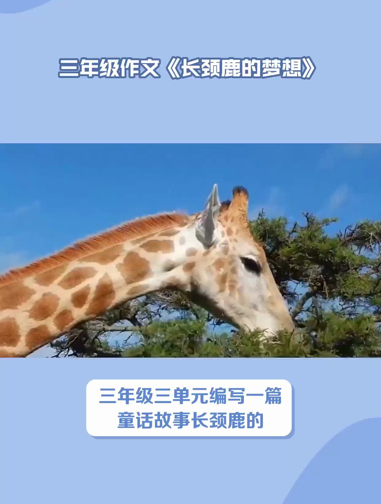 三年级童话作文《长颈鹿的梦想》